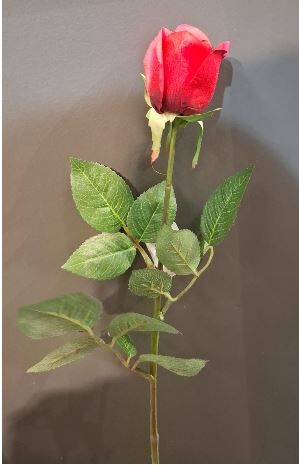 TEKDAL GÜL(RED)
