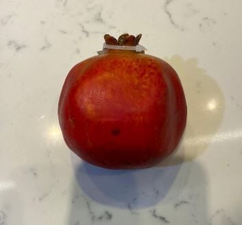 POMEGRANATE 10 CM.