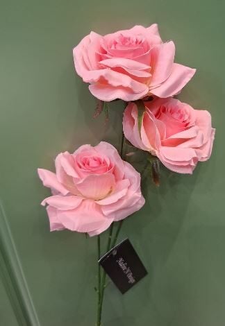 3lü Gül Pembe