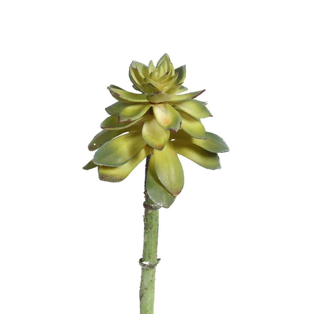 SUCCULENT PICK 18 CM(GREEN)