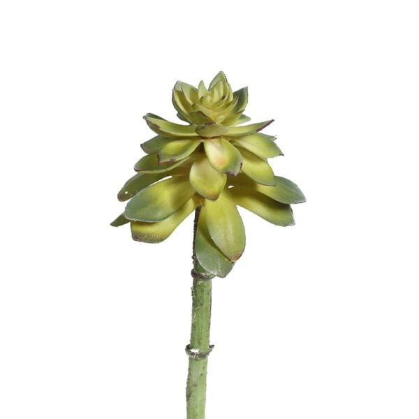 SUCCULENT PICK 18 CM(GREEN)