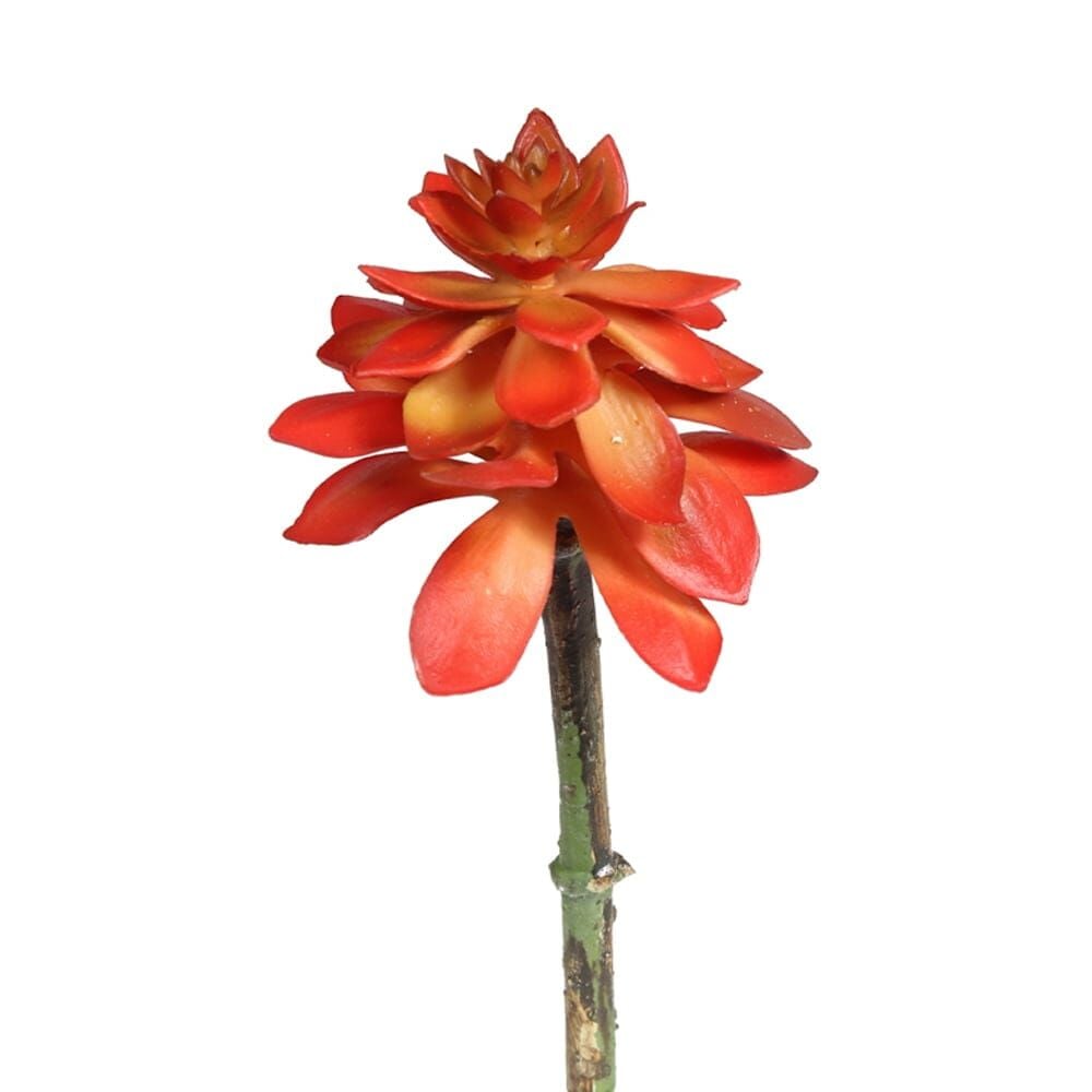SUCCULENT PICK 18 CM(ORANGE)