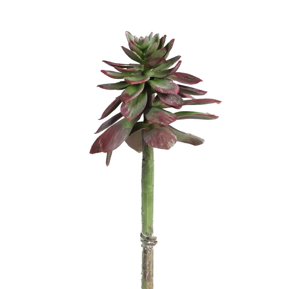 SUCCULENT PICK 18 CM(PURPLE GREEN)