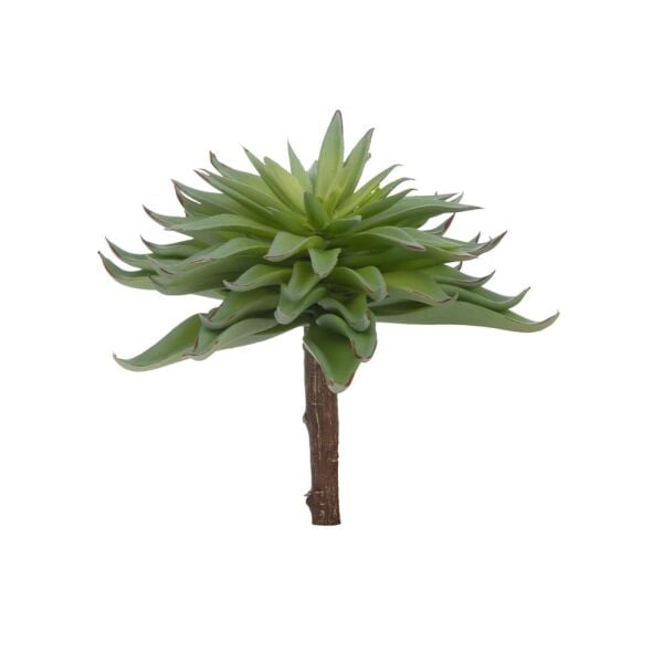 SUCCULENT PICK 18 CM.(GREEN)