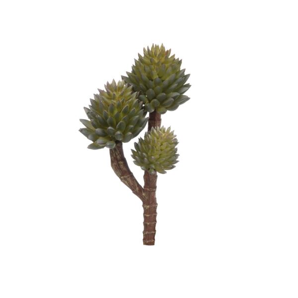 ECHEVERIA PICK 20 CM.(GREEN)