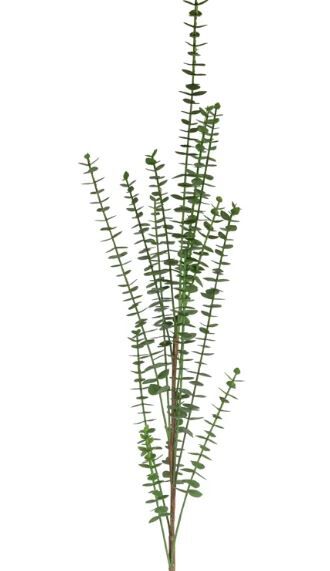 EUCALYPTUS SPRAY 102 CM.(GREEN)