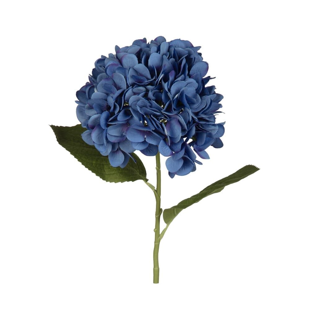 ORTANCA DAL 67 CM.(BLUE)