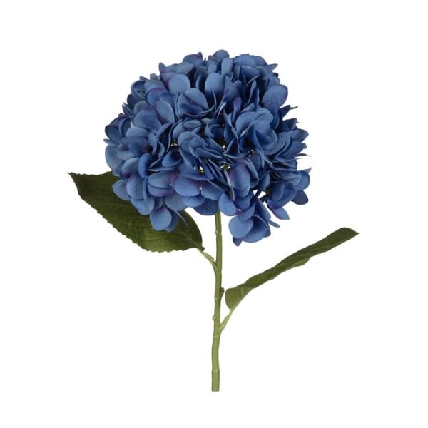 ORTANCA DAL 67 CM.(BLUE)