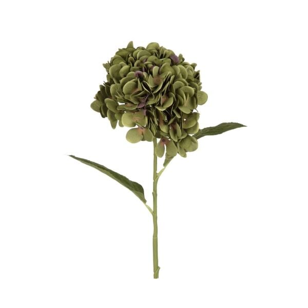 ORTANCA DAL 67 CM.(DK.GREEN)