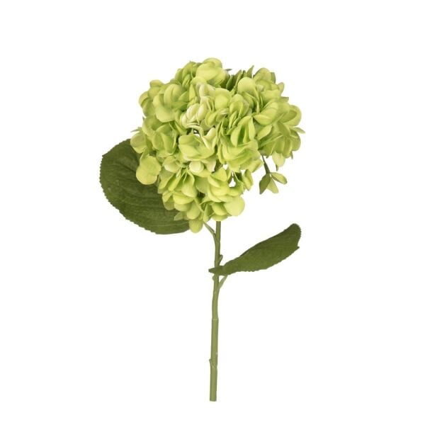 ORTANCA DAL 67 CM.(GREEN)