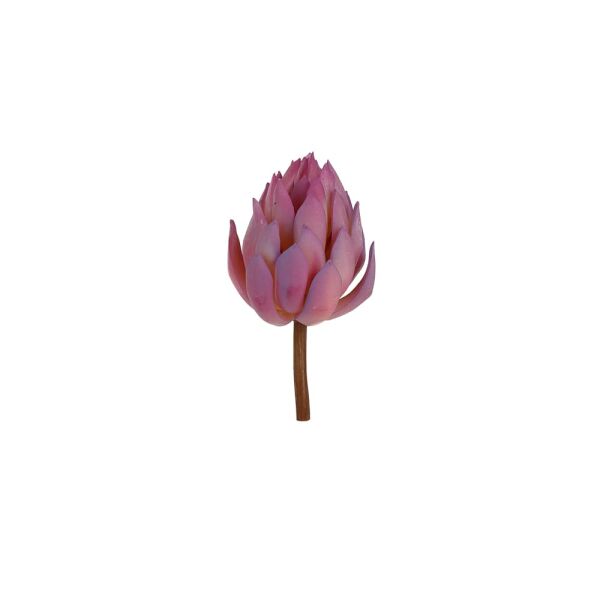 SUCCULENT (LT.PURPLE)