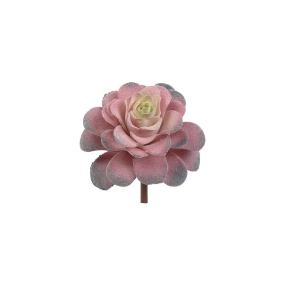 SUCCULENT 13 CM.(RED)