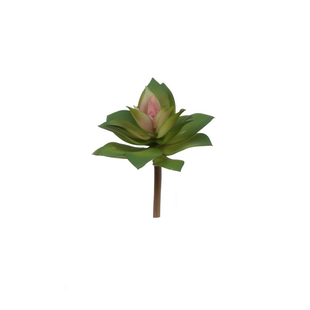 SUCCULENT 13 CM