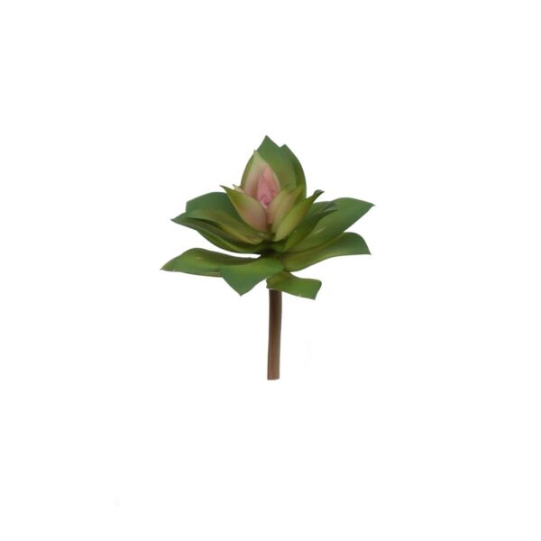 SUCCULENT 13 CM