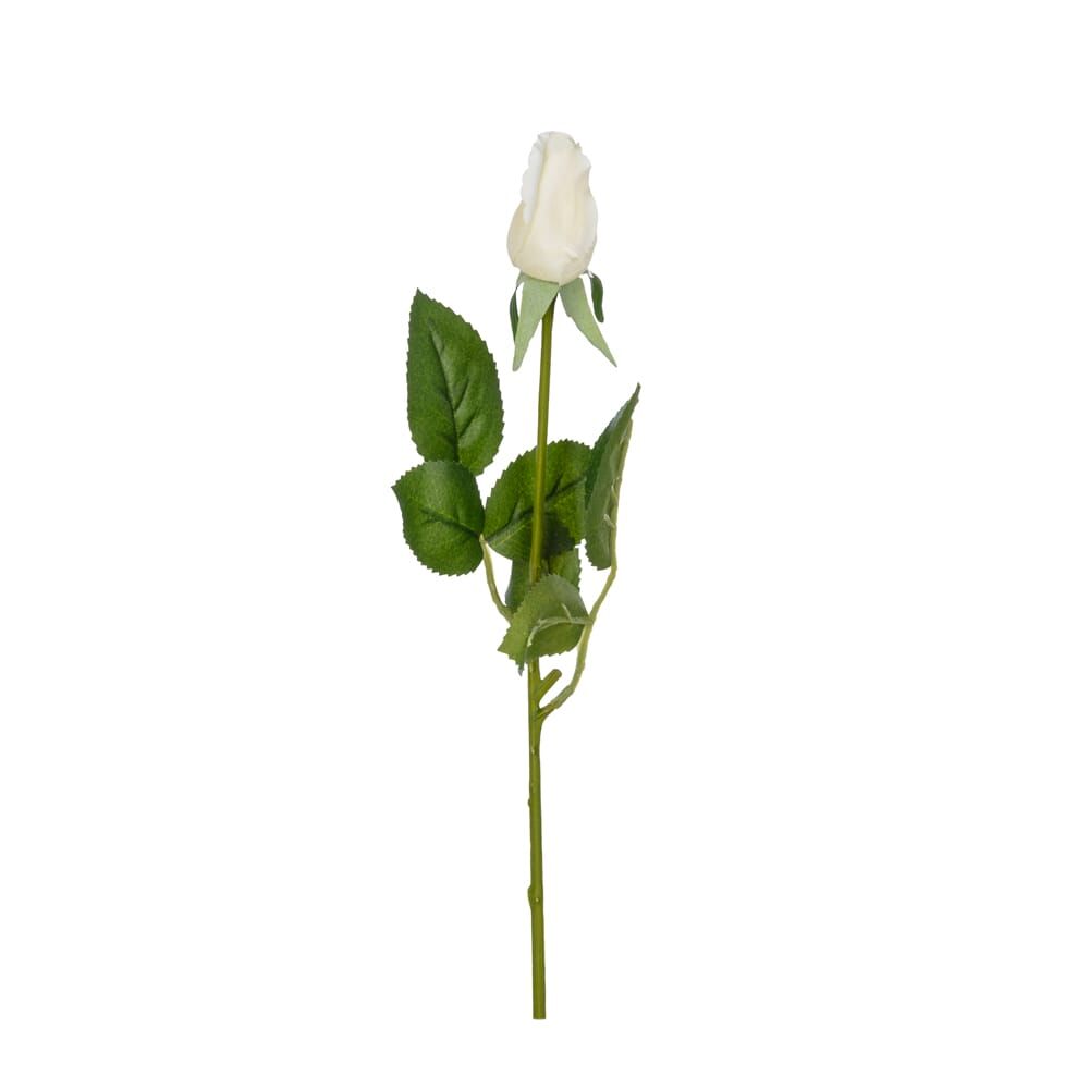 TEKDAL GÜL(WHITE)