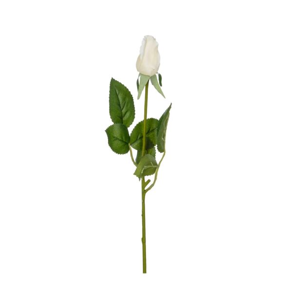 TEKDAL GÜL(WHITE)