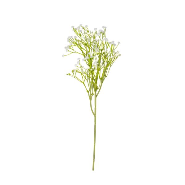 GYPSOPHİLA (WHITE)