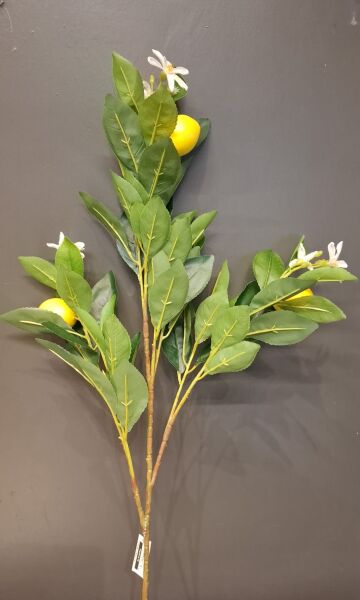 LEMON SPRAY 74 CM.