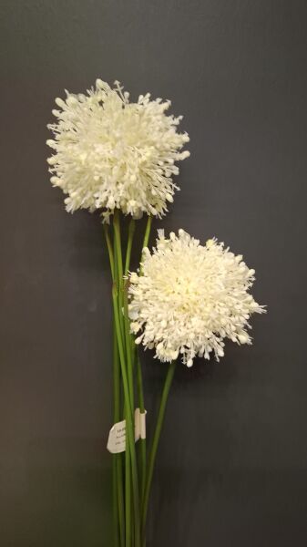ALLIUM BUSH 56 CM.(CREAM)