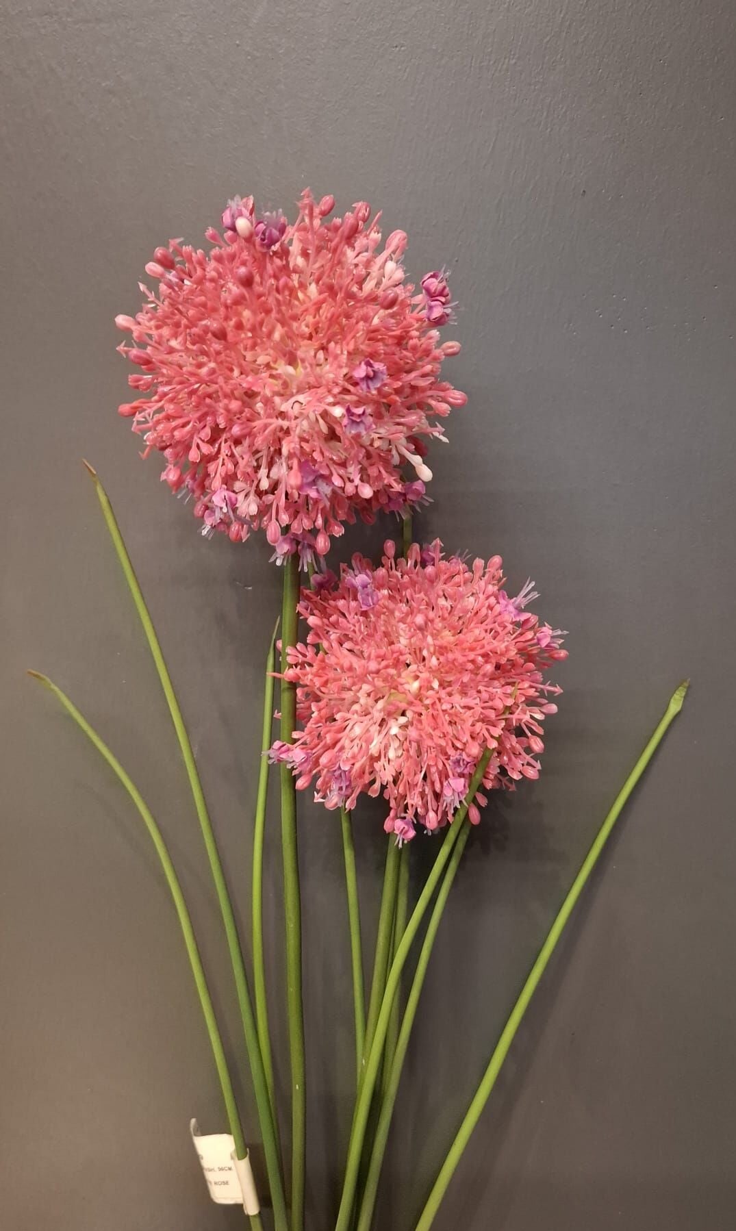 ALLIUM BUSH 56 CM.(WHITE ROSE)