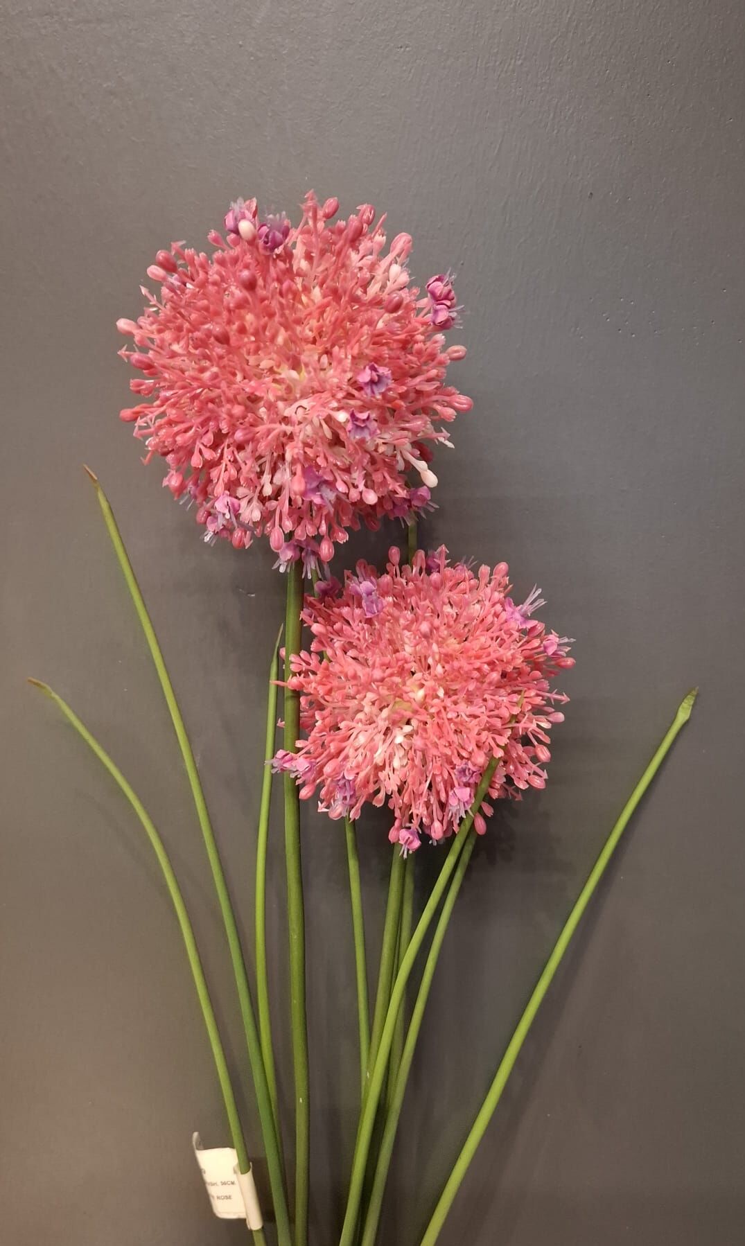 ALLIUM BUSH 56 CM.(WHITE ROSE)