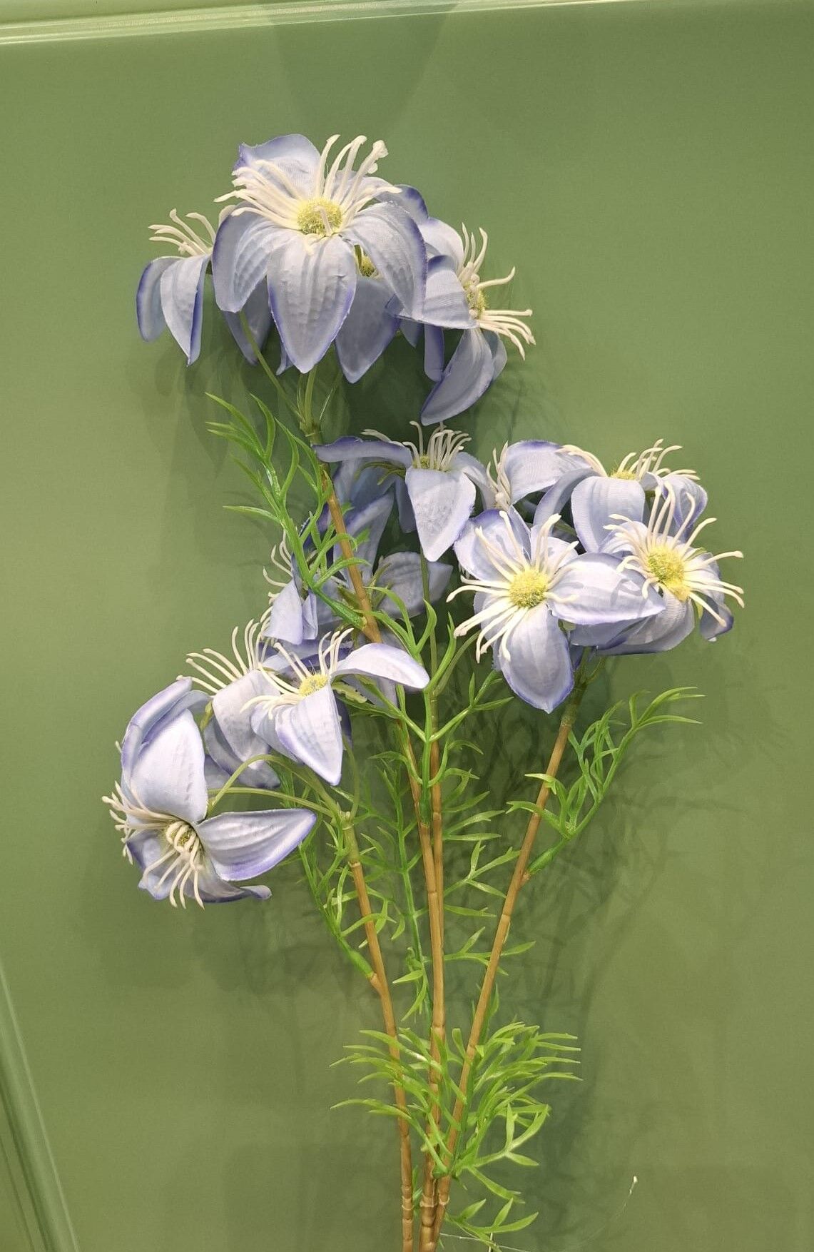 Küpe Çiçeği Mavi