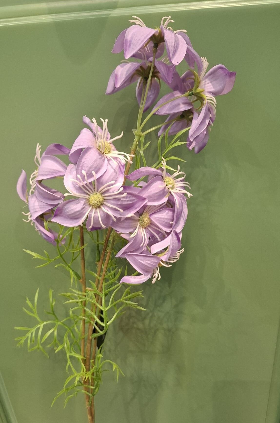 Küpe Çiçeği Pembe