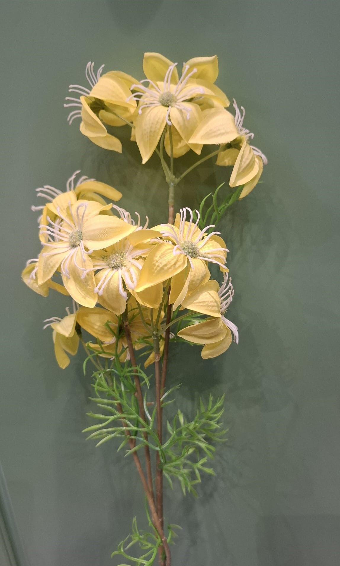 Küpe Çiçeği Sarı