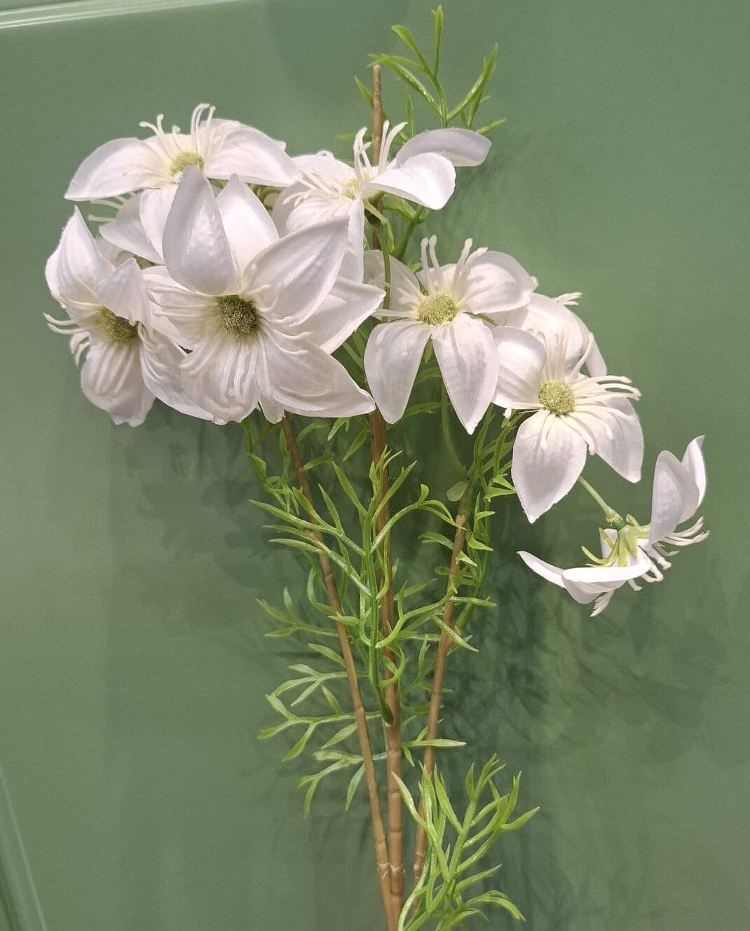 Küpe Çiçeği Beyaz