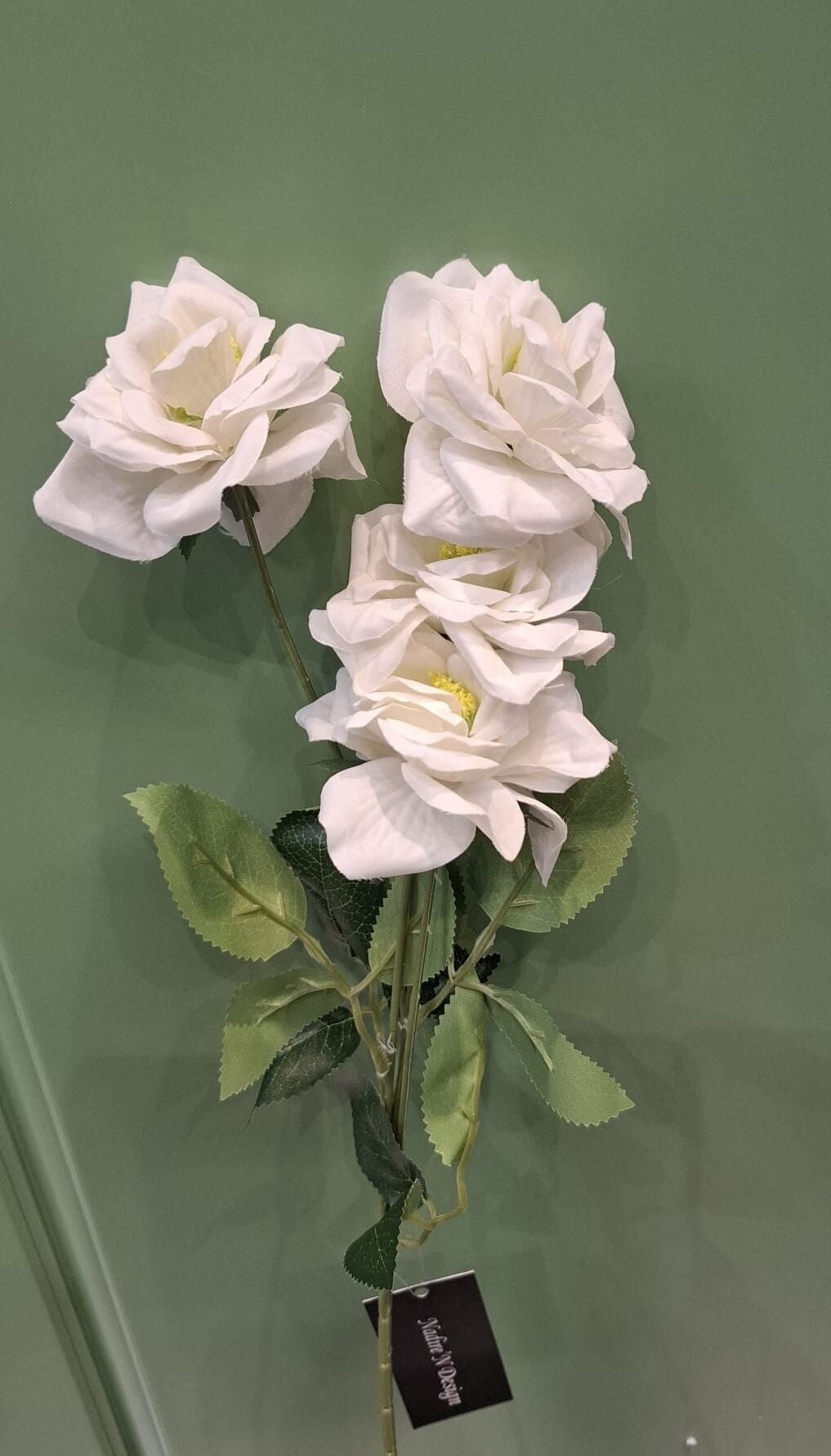 Çardak Gülü Beyaz